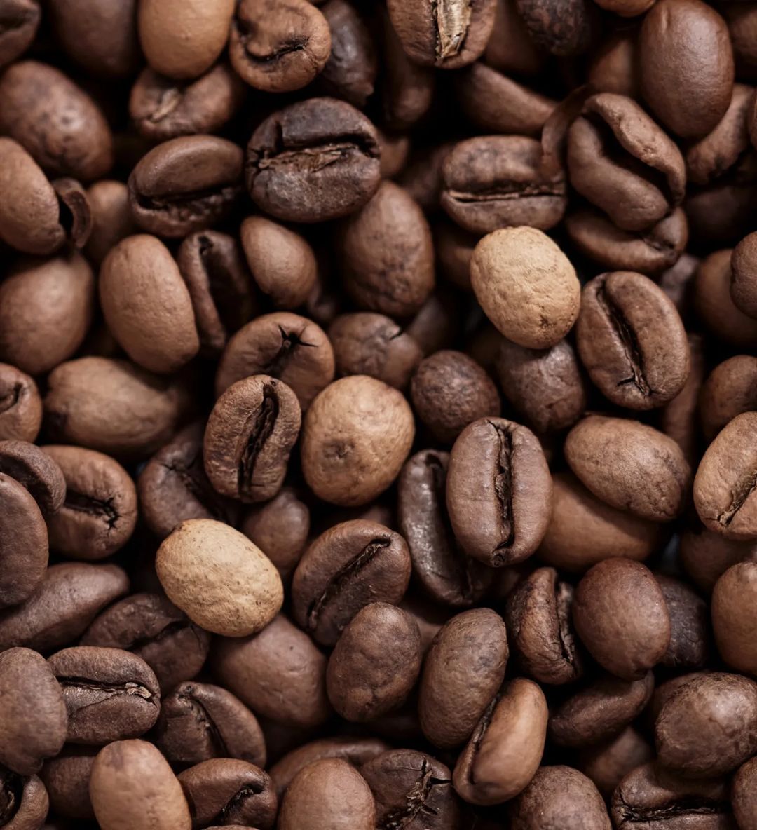 A myriad of roasted coffee beans boasting varying shades and textures