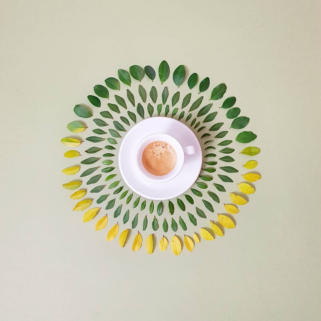 A meticulously arranged circle of green and yellow leaves with a cup of tea at the center