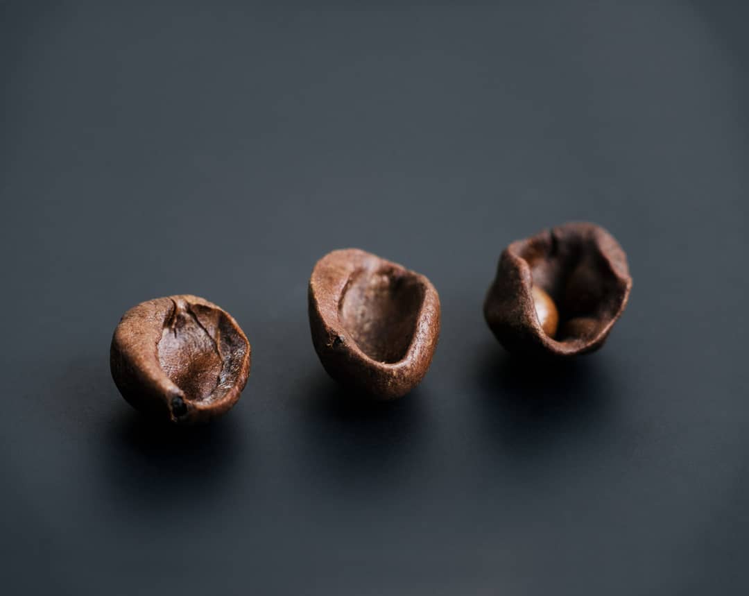 Three coffee beans in various stages of being opened on a dark background