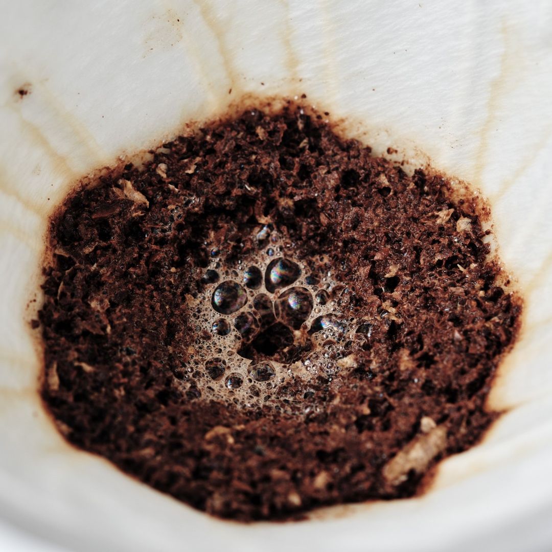 Close-up of freshly brewed coffee grounds in a filter showing the bloom