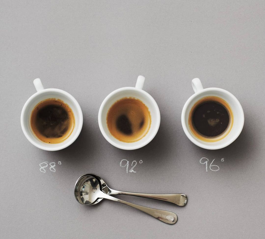 The subtleties of coffee brewing temperatures displayed through three cups of espresso