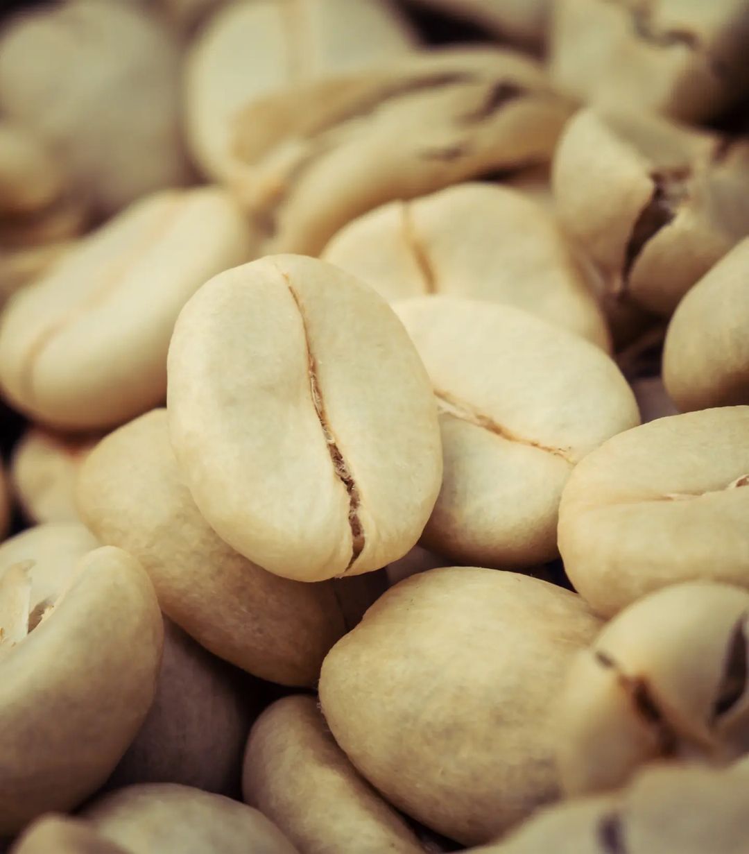 A close-up view of raw, unroasted coffee beans