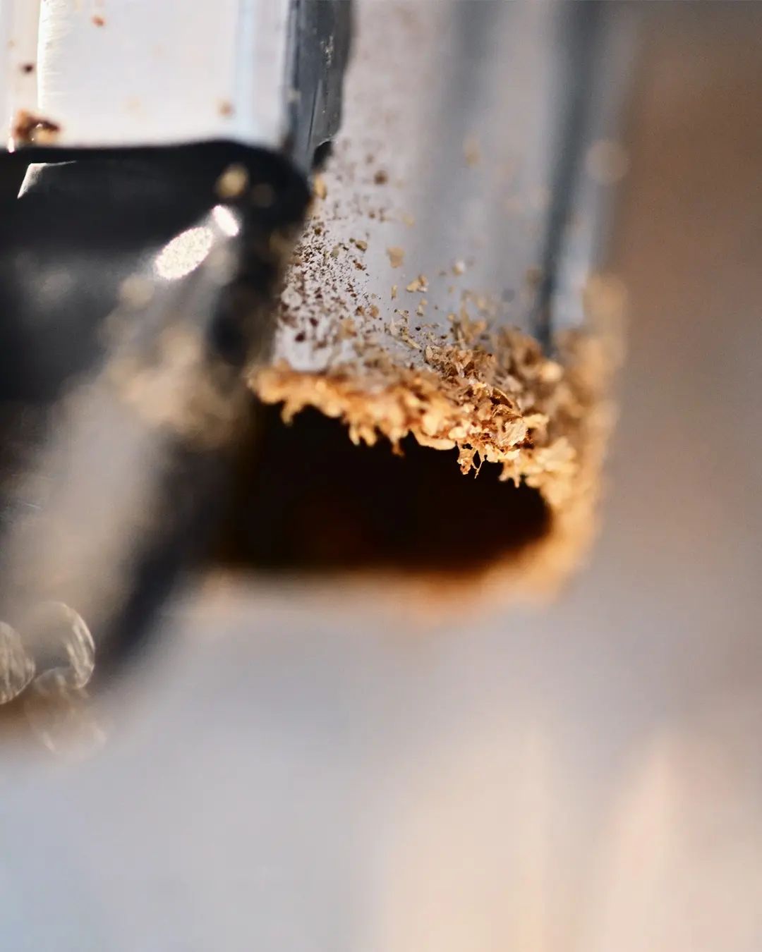 Close-up view of sawdust being produced by a saw cutting through wood